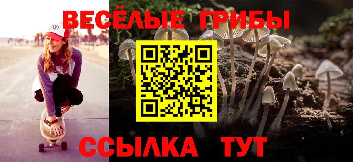 A-PVP Россошь