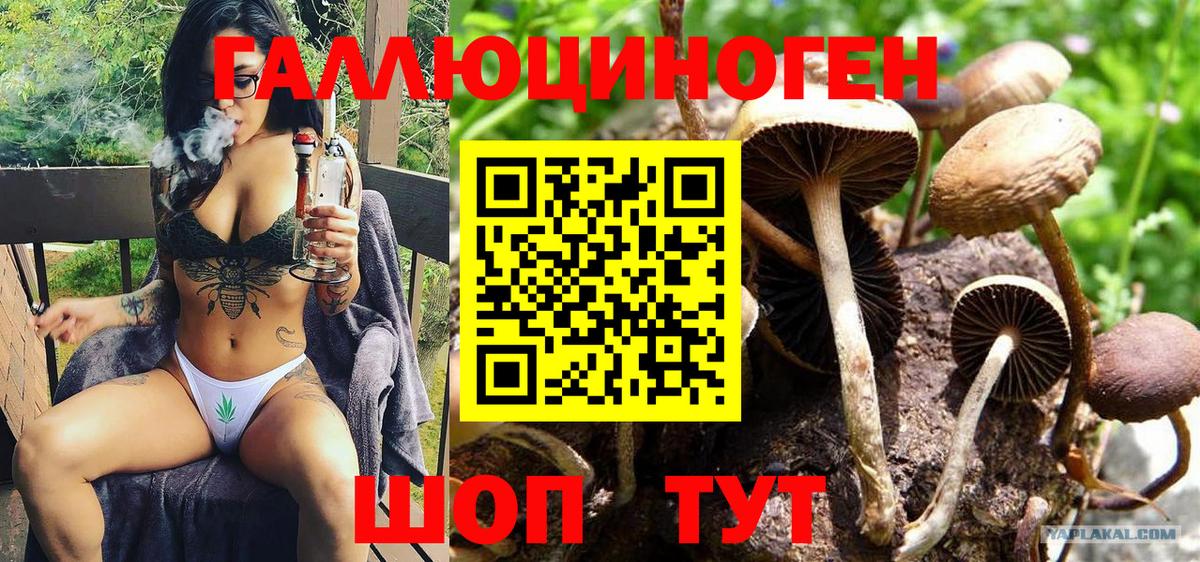 Галлюциногенные грибы GOLDEN TEACHER Россошь